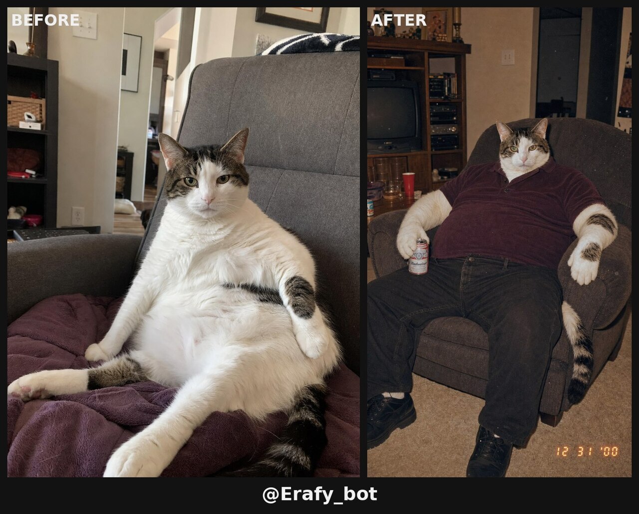Your cat as somebody’s uncle. Your a cat sitting on a couch with a man sitting in the background